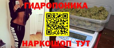 спайс Кинель