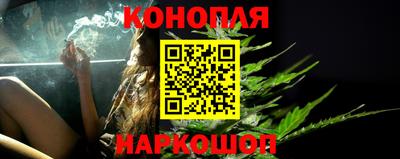 сатива Кимры