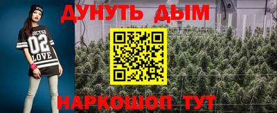 трава Кингисепп