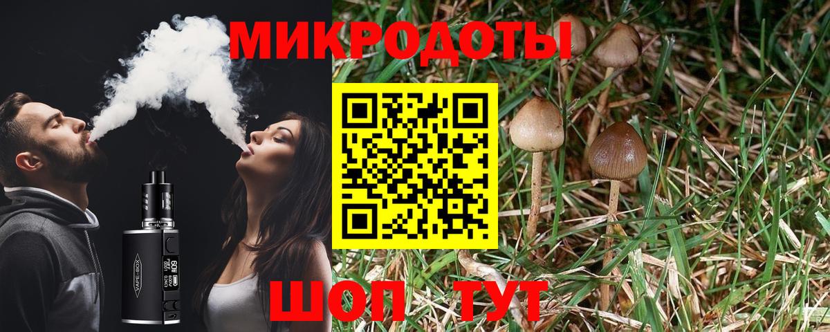 Галлюциногенные грибы ЛСД  Псилоцибиновые грибы GOLDEN TEACHER  Дальнереченск  Вход с VPN 