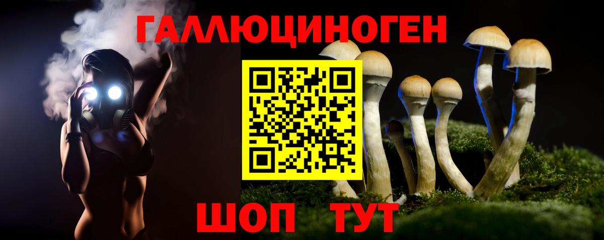Псилоцибиновые грибы мухоморы Дальнереченск